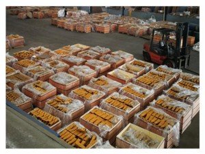 Excavator Bucket Teeth 1U3352PT