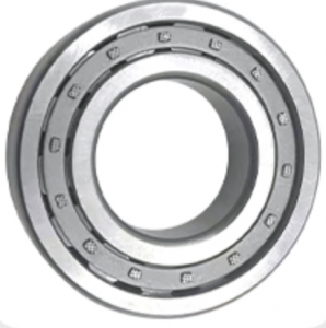 SWING GEAR BOX BEARINGS NJ215