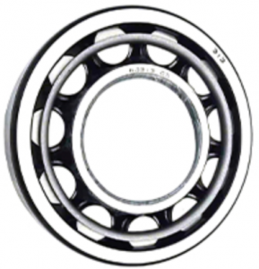SWING GEAR BOX BEARINGS NJ313